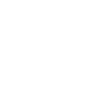 large group of people icon